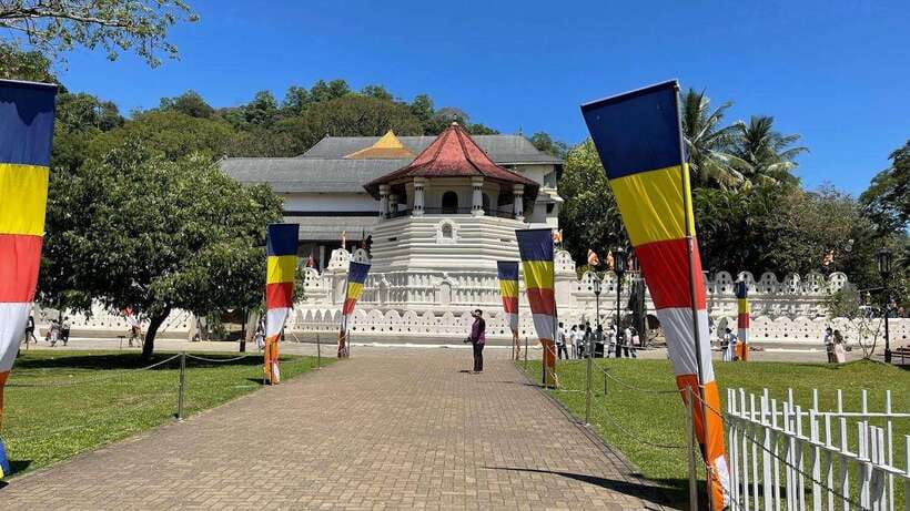 Kandy & Pinnawala & Tea Factory Full Day Tour From Negombo - How This Full-Day Tour Actually Feels (14 Hours From Negombo)
