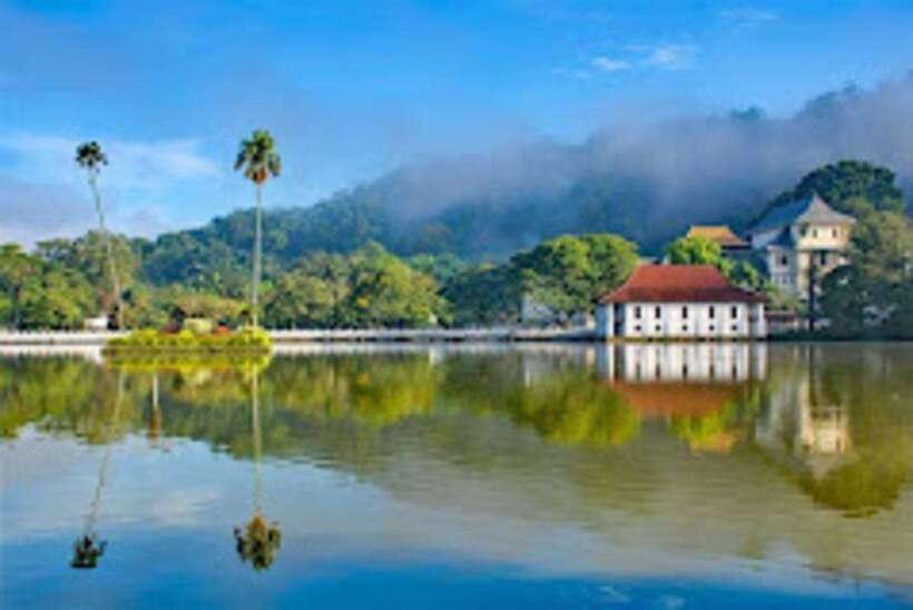 Kandy & Pinnawala & Tea Factory Full Day Tour From Negombo - Price and Value: What You’re Really Paying For at $49