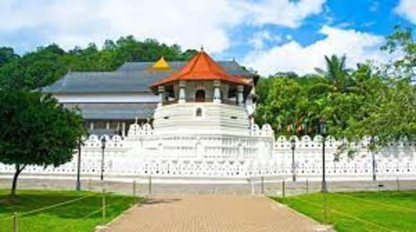Kandy & Pinnawala & Tea Factory Full Day Tour From Negombo - Tea Factory & Tea Estate: Turning a Tour Stop Into Tea Knowledge