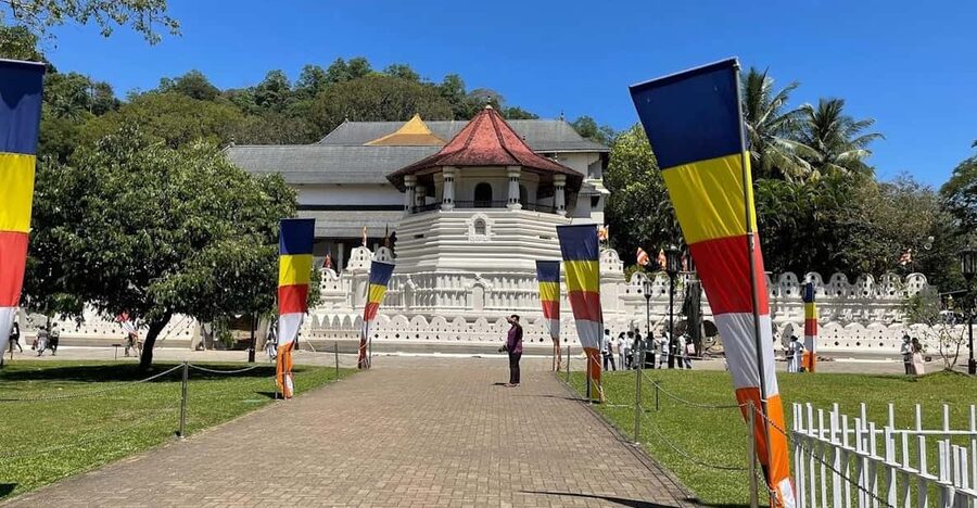 Kandy & Pinnawala & Tea Factory Full Day Tour From Negombo - Pinnawala to Kandy Culture: The Dance Show Sets the Scene