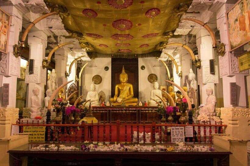 Kandy & Pinnawala & Tea Factory Full Day Tour From Negombo - Museums and “In-Between” Stops: Railway Museum and Quick Sights