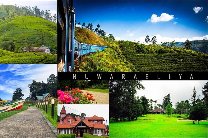 Kandy to Nuwara Eliya Day Trip – Little England & Tea Country - Key highlights to know before you go