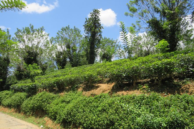 Kandy to Nuwara Eliya Day Trip – Little England & Tea Country - The Ramboda start: Sri Baktha Hanuman Temple and why it’s more than a quick photo stop
