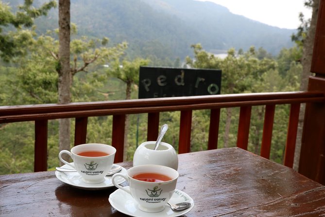 Kandy to Nuwara Eliya Day Trip – Little England & Tea Country - Gregory Lake and the Nuwara Eliya reset: cooling down in Little England style