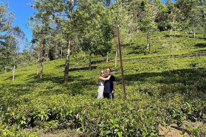 Kandy to Nuwara Eliya Day Trip – Little England & Tea Country - Victoria Park: small colonial cues that actually help the vibe