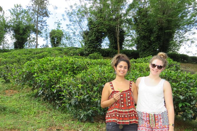 Kandy to Nuwara Eliya Day Trip – Little England & Tea Country - Nuwara Eliya Racecourse: why this stop feels oddly memorable