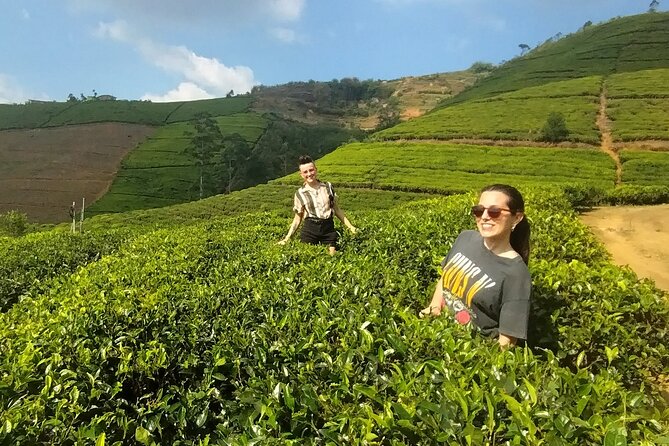 Kandy to Nuwara Eliya Private Day Tour: Tea Factory& Gregory Lake - Key things to know before you go