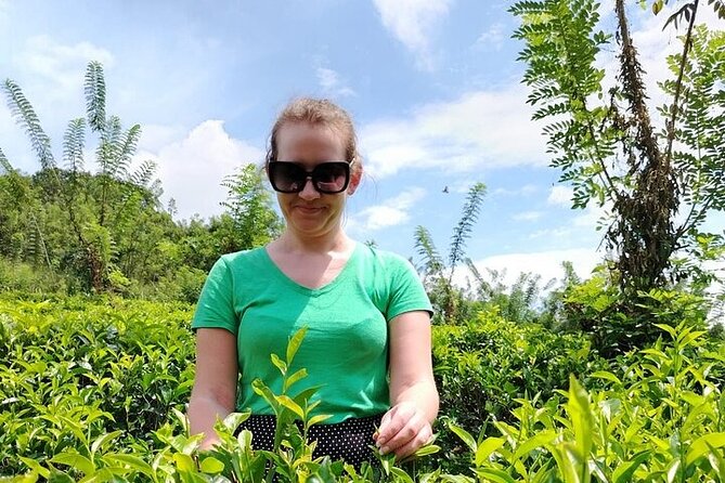 Kandy to Nuwara Eliya Private Day Tour: Tea Factory& Gregory Lake - Getting there your way: tuk-tuk vs van and why it matters