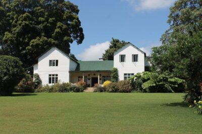 Kiambethu Tea Farm Tour & Lunch From Nairobi - Arriving at Kiambethu: biscuits, tea, and a working family estate