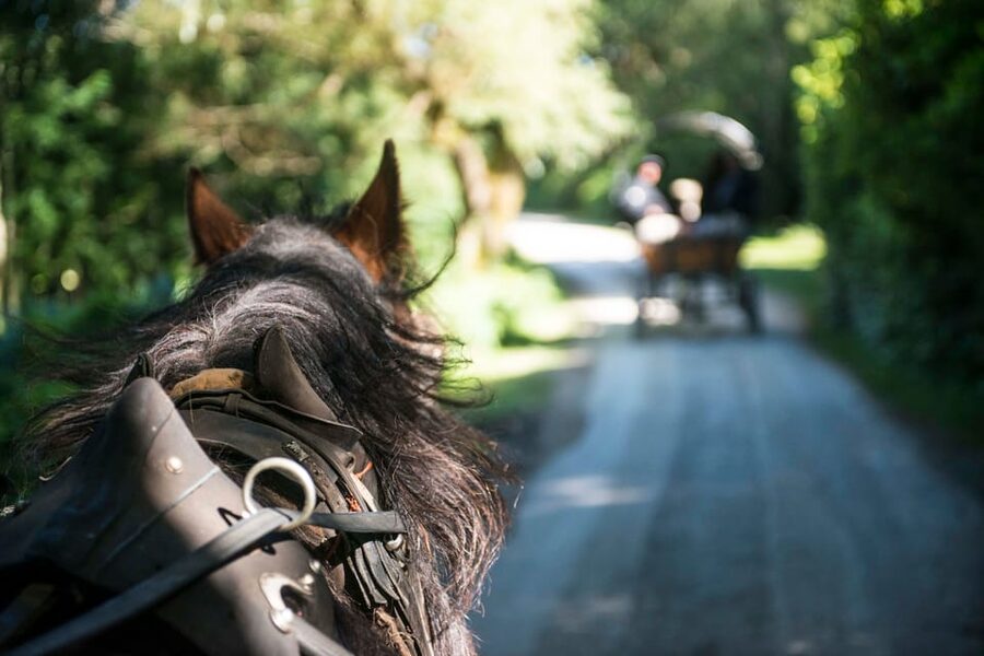 Killarney: Jaunting Car Tour with Afternoon Tea - Starting in Killarney Town: A Slower Pace for a Busy Place