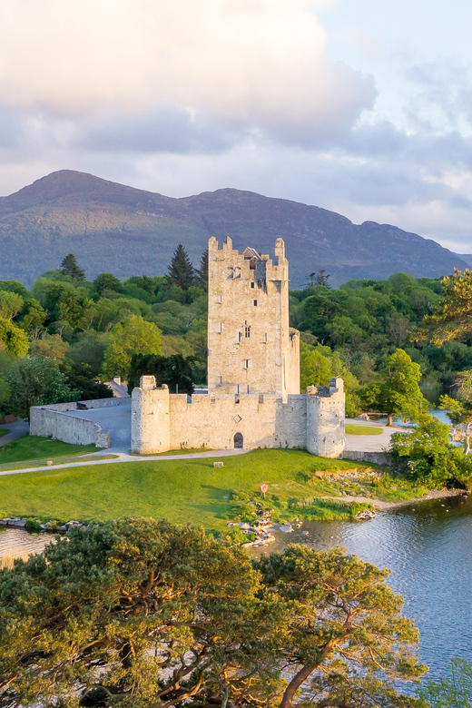 Killarney: Jaunting Car Tour with Afternoon Tea - Practical Tips for Getting the Most From the Ride and Tea