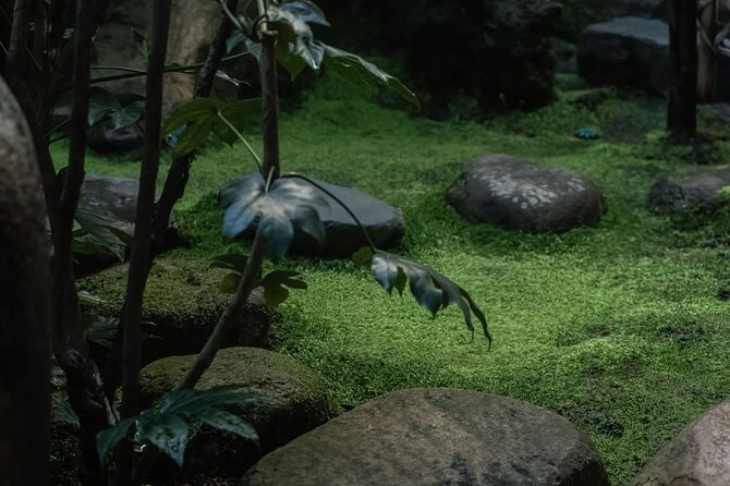 Kimono Tea Ceremony at Kyoto Maikoya, Karasuma Shijo - The tea master’s lesson: matcha etiquette, tools, and movements