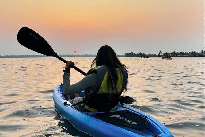 Kochi Kayaking Tour: Sunrise, Sunset & Floating Tea Break - Price and value: $88.64 per group for up to 3