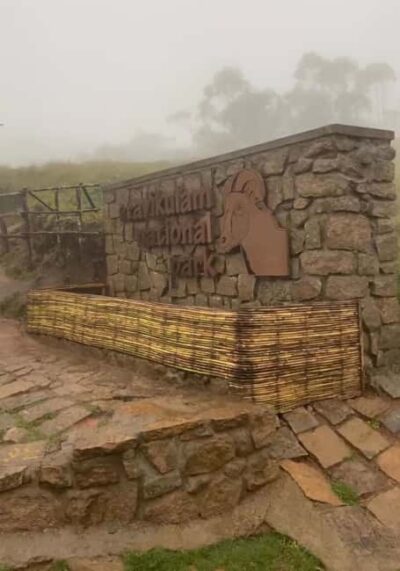 Kochi to Munnar: Eravikulam, lockhart & Waterfalls day tour - Lockhart Tea Factory: from plucking to your cup