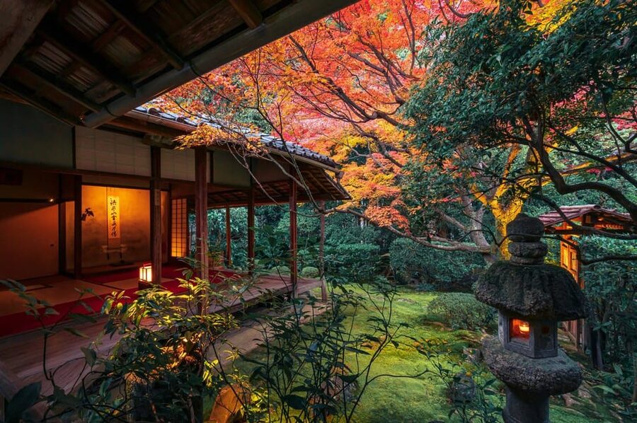 Kyoto: Nighttime Zen Meditation and Matcha Tea Experience - The four gardens: a guided look you can actually follow
