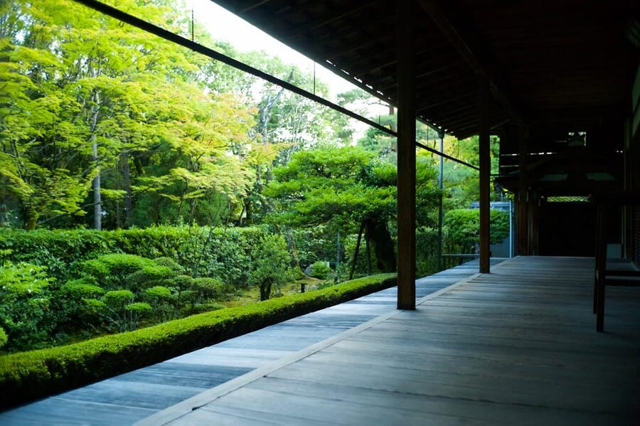 Kyoto: Nighttime Zen Meditation and Matcha Tea Experience - Matcha and sweets with Deputy Chief Priest Yasumasa Arashima