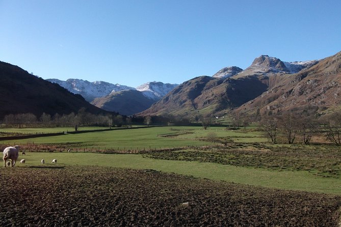 Lake District from Liverpool including Lake Cruise - Tarn Hows: a short stop with big views