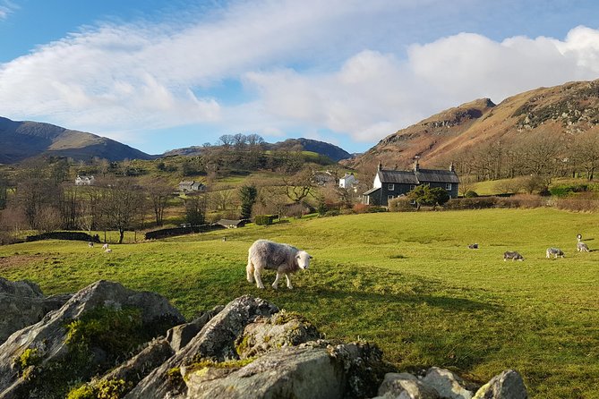 Lake District from Manchester Including Lake Cruise - Comfort, group size, and what the guides are really doing