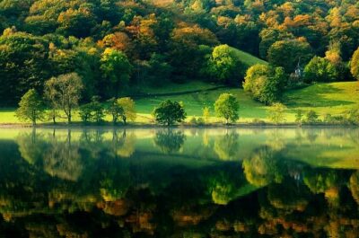 Lake District - Rail Tour from London with Cream Tea and Cruise - The train part: what’s included and what to watch