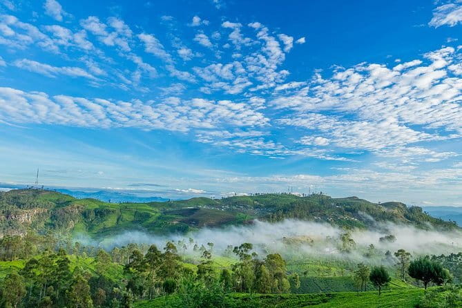 Lipton's Seat and Tea Factory,Trail Amidst Tea Plantation Day Tour - Key things to know before you go