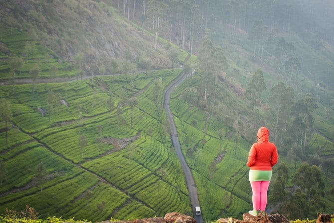Lipton's Seat and Tea Factory,Trail Amidst Tea Plantation Day Tour - Tuk-tuk Time to Tea Country from Ella