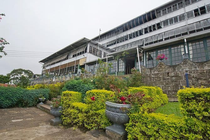 Lipton's Seat and Tea Factory,Trail Amidst Tea Plantation Day Tour - Dambatenne Tea Factory: See the Process, Then Get the Cup