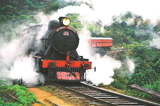Lipton's Seat and Tea Factory,Trail Amidst Tea Plantation Day Tour - Tips to Get the Most from Lipton’s Seat and the Factory
