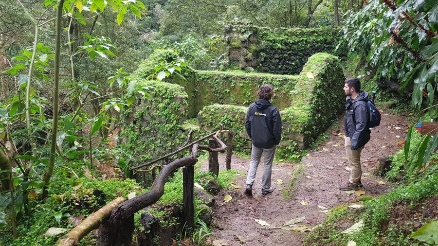 Lomba de São Pedro: Waterfall Hiking Tour with Tea Tasting - Santa Iria Lookout: the day’s finishing perspective