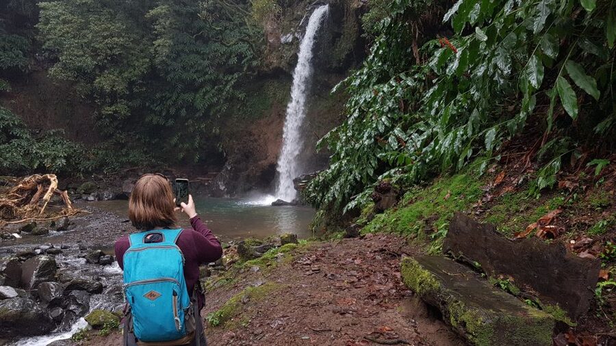 Lomba de São Pedro: Waterfall Hiking Tour with Tea Tasting - Gorreana Tea Plantation: oldest in Europe in production, plus a real taste