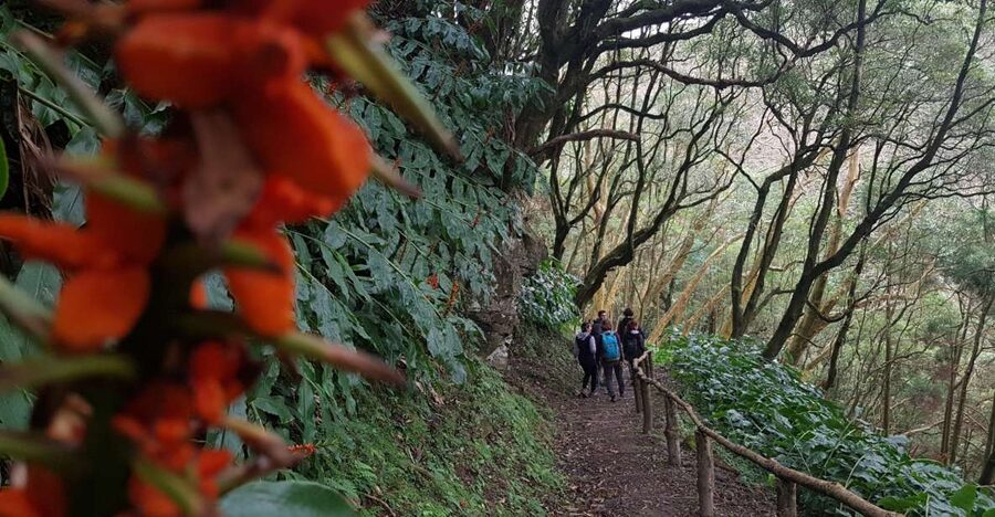 Lomba de São Pedro: Waterfall Hiking Tour with Tea Tasting - Stairs, springs, and village fountains before lunch