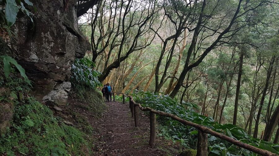 Lomba de São Pedro: Waterfall Hiking Tour with Tea Tasting - Picnic lunch, then Ribeira dos Caldeirões Natural Park