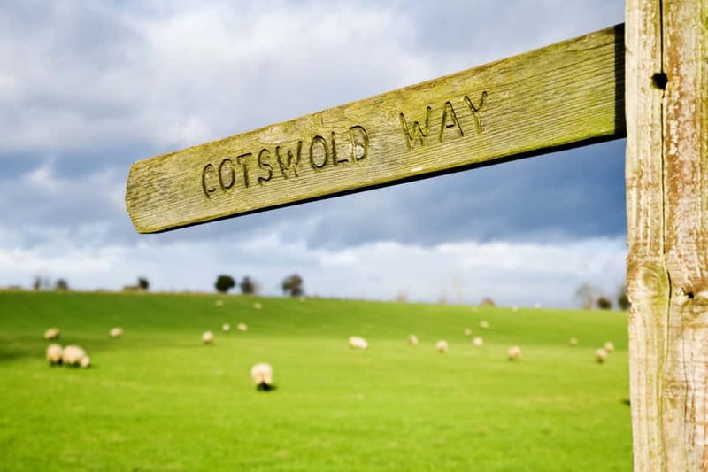 London: Cream Tea at Blenheim Palace & the Cotswolds Tour - Price and value: is $173.76 a fair deal for a one-day hit?