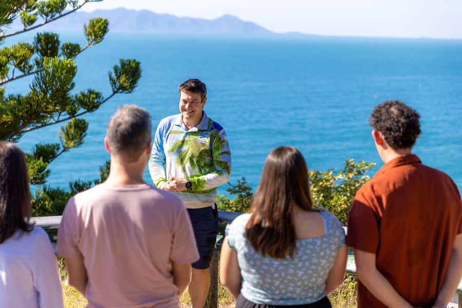 Magnetic Island: Guided Bus Tour with Morning Tea - How the Nelly Bay meet-up sets the pace