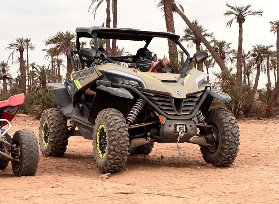Marrakech : buggy excursion at the Sunset with tea break - What the full 3-hour flow feels like