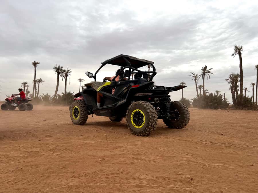 Marrakech : buggy excursion at the Sunset with tea break - Price and value: is $86 fair for what you get?