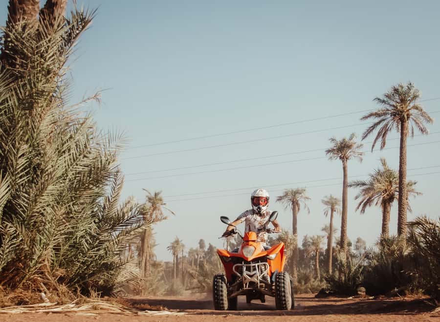 Marrakech: Desert and Palm Grove Quad Tour with Tea - Palm Grove Photo Stop: Where the Memories Get Made