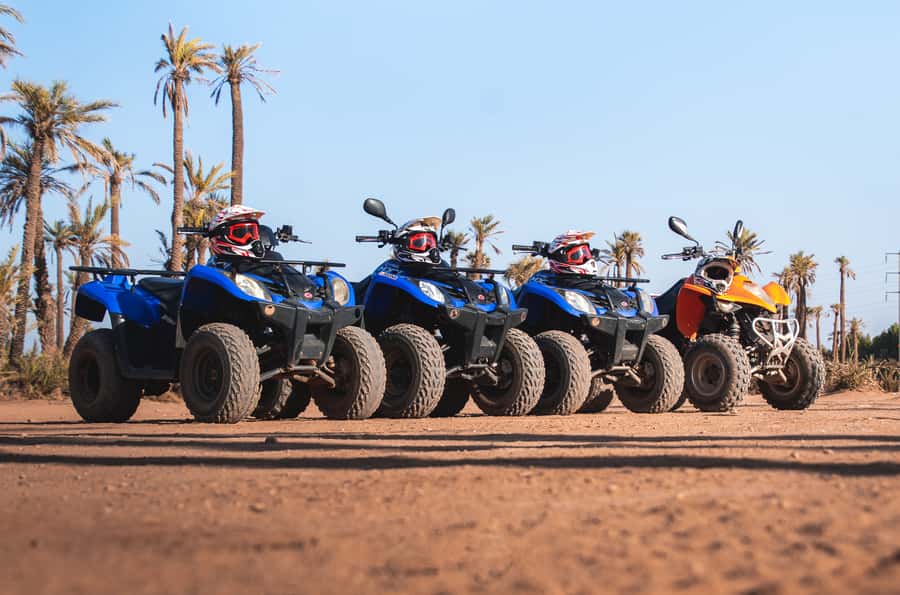 Marrakech: Desert and Palm Grove Quad Tour with Tea - Price and Value: Why Around $22 Often Feels Like a Deal
