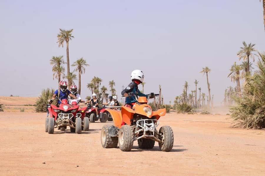 Marrakech: Desert and Palm Grove Sunset Quad Tour with Tea - Value check: does $34 feel fair for what you’re getting?