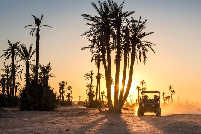 Marrakech Desert Buggy Tour Including Berber Tea Break and transfer - Key Points to Know Before You Go