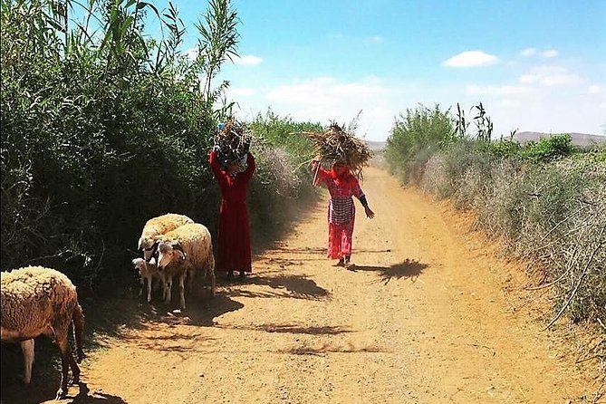 Marrakech Desert Buggy Tour Including Berber Tea Break and transfer - Stop One: Dunes & Desert Oasis With Palms and Camels