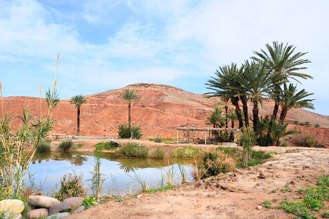 Marrakech Desert Buggy Tour Including Berber Tea Break and transfer - Stop Two: The Agafay Ride Time That Feels Like Real Off-Road