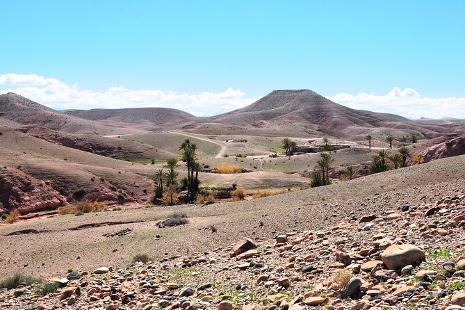Marrakech Desert Buggy Tour Including Berber Tea Break and transfer - Berber Tea Break and Warm Pancakes: Cultural Without the Lecture