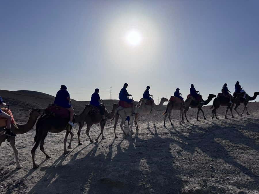 Marrakech: Desert Quad Bike Tour with Tea & Optional Dinner - What you’ll see: lake views, High Atlas mountains, and desert texture
