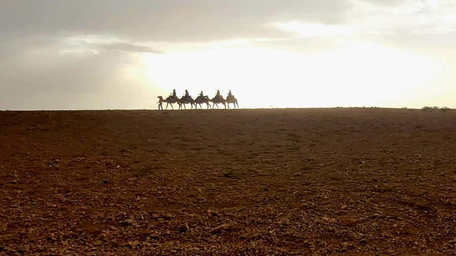 Marrakech: Desert Quad Bike Tour with Tea & Optional Dinner - What to bring: the small stuff that saves the day