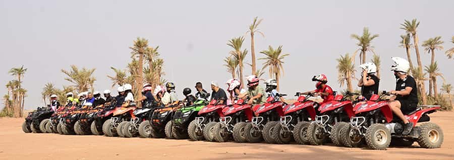Marrakech:excursion quad in Oasis palm & jbilat desert,tea - Key things to know before you go