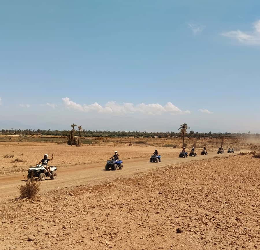 Marrakech:excursion quad in Oasis palm & jbilat desert,tea - Palmeraie Quad Riding: Why this feels like Marrakech’s off-road escape
