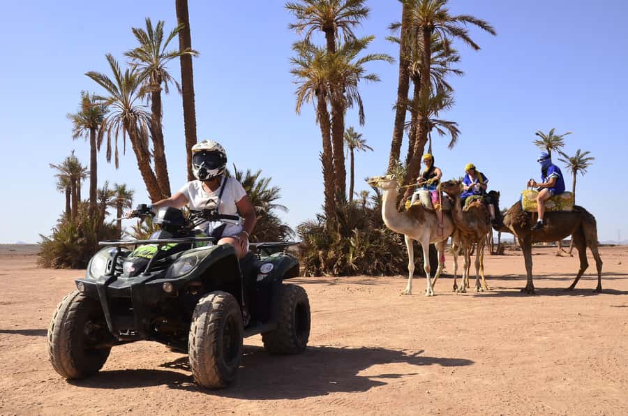 Marrakech:excursion quad in Oasis palm & jbilat desert,tea - Who this is best for (and who should skip it)