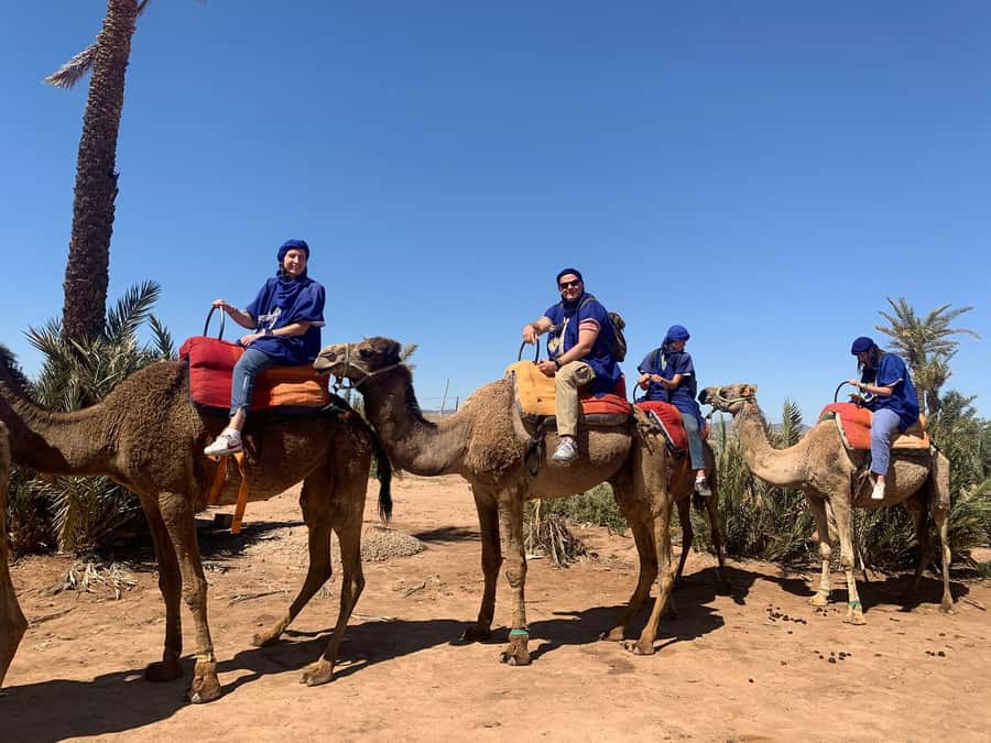 Marrakech: Guided Quad Bike and Camel Ride Tour with Tea - Passing Berber villages and palm grove edges: the “in-between” moments