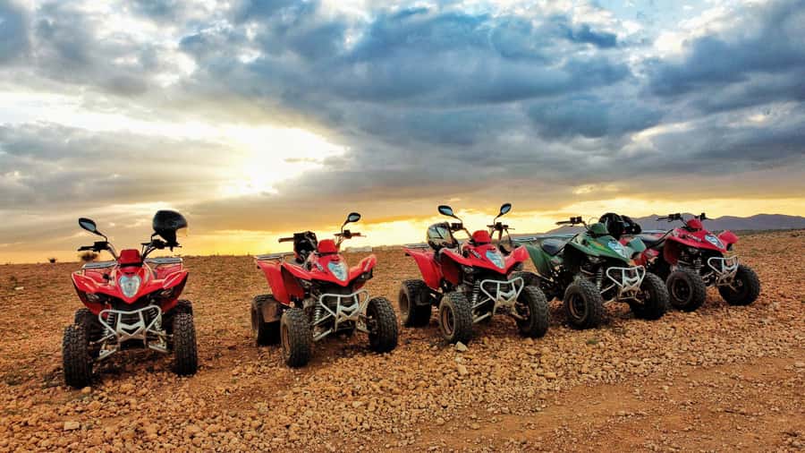 Marrakech: Palmeraie Guided Quad Biking Tour with Tea - Quick hits