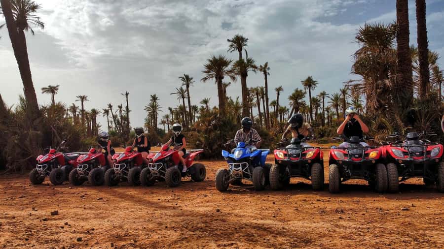 Marrakech: Palmeraie Guided Quad Biking Tour with Tea - The Berber-Style Tea Break: Mint Tea, Bread and Honey, and Olives